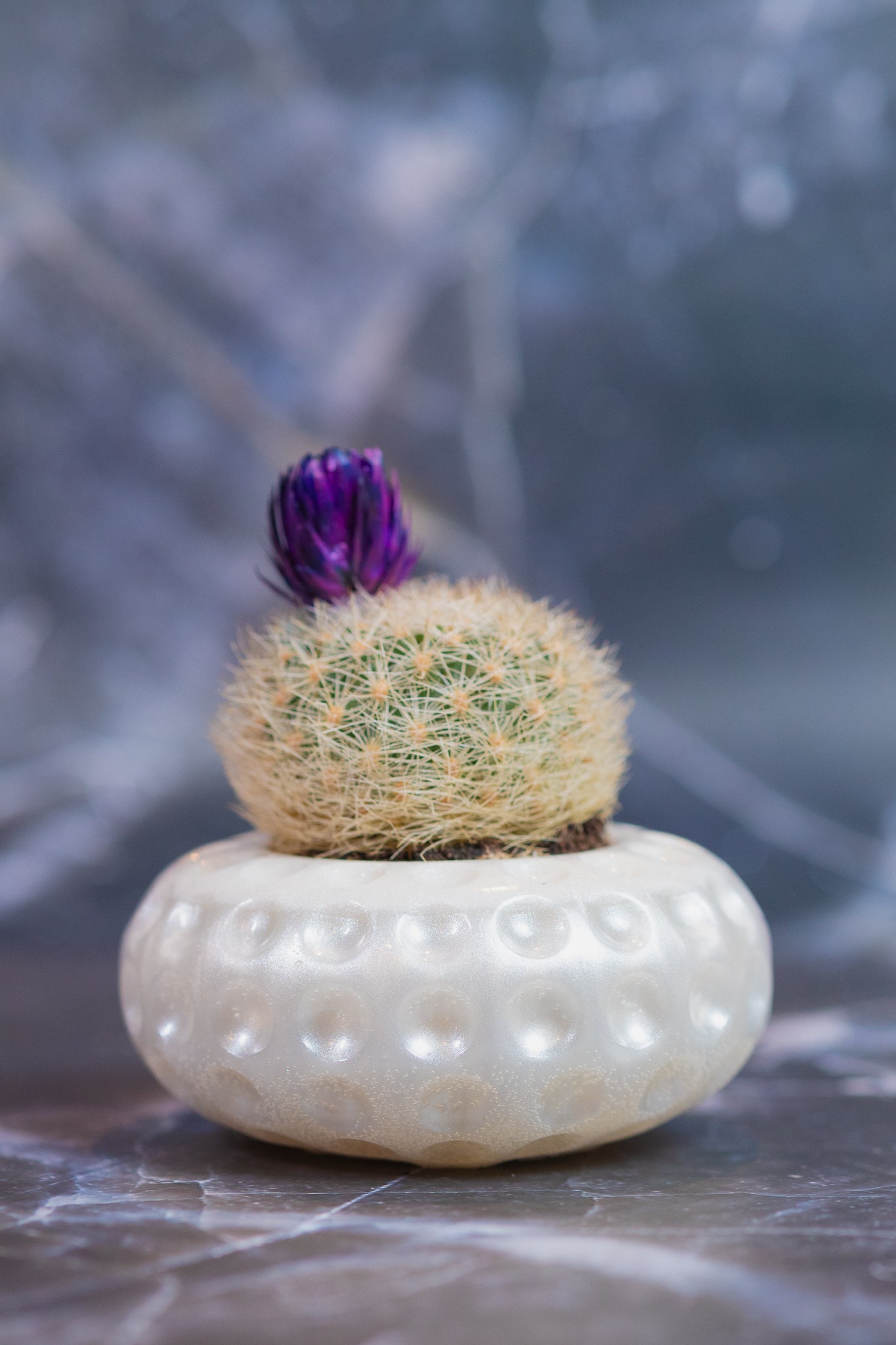 Vaso Mini Bubble
