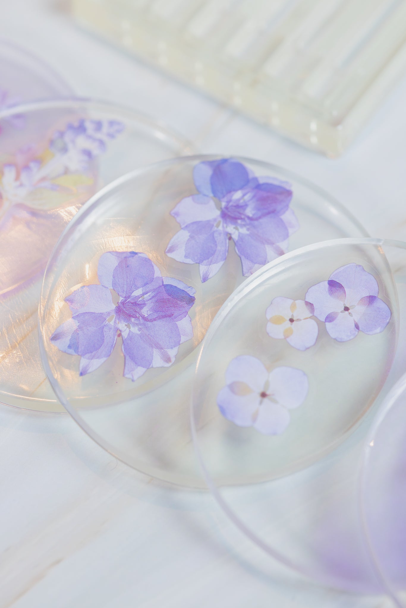 Base copos Lavanda