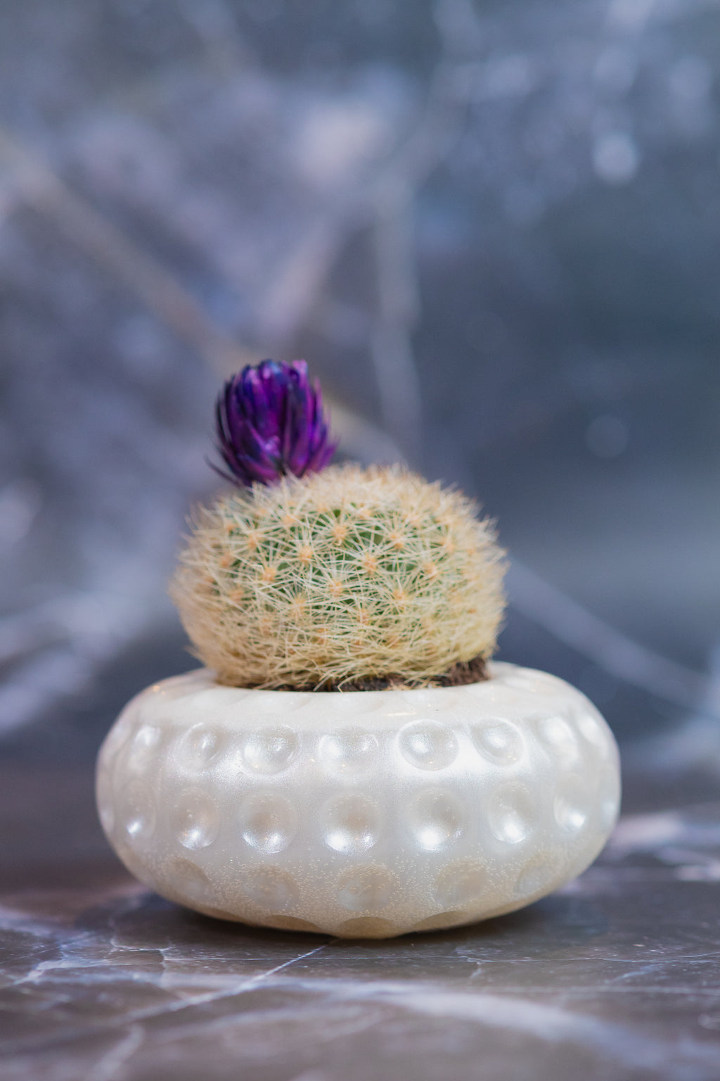 Vaso Mini Bubble