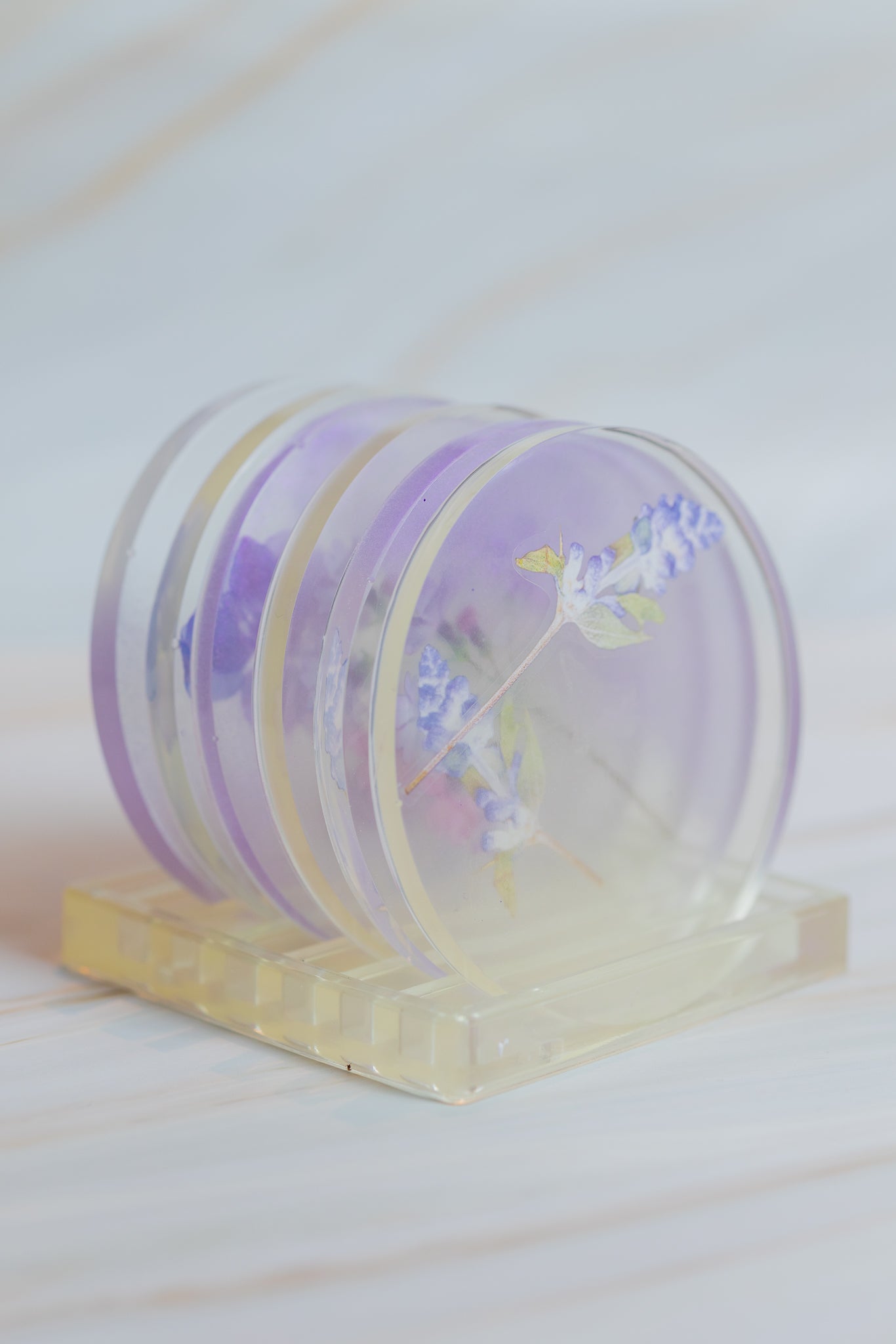 Base de Copos com suporte (6 unidades)