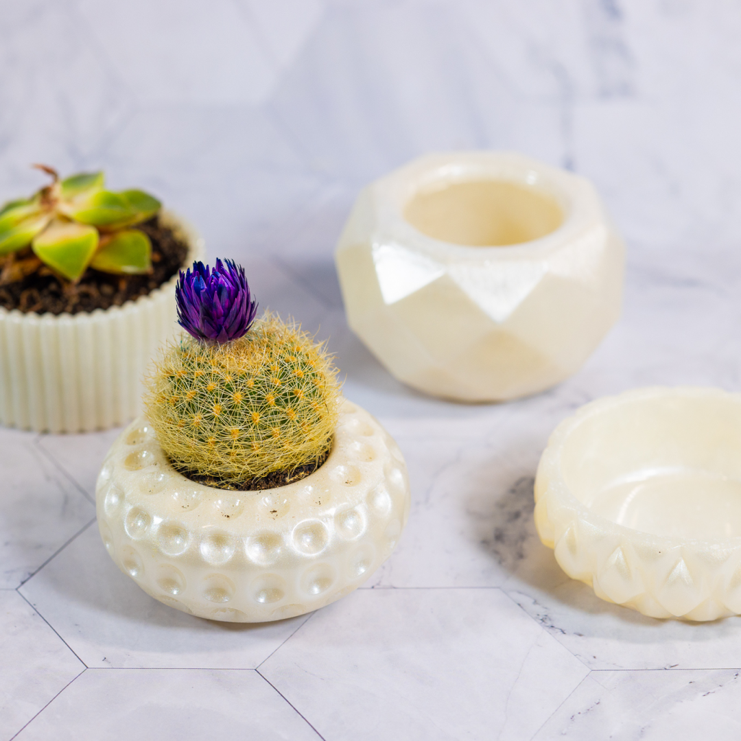 Conjunto Mini Vasos Decorativos