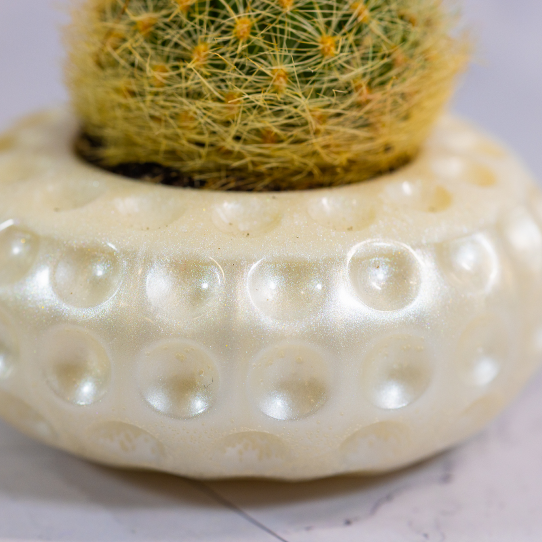 Conjunto Mini Vasos Decorativos