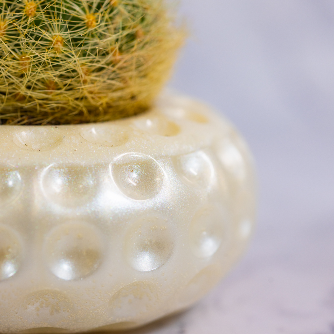 Conjunto Mini Vasos Decorativos