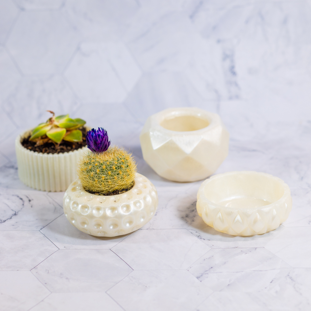 Conjunto Mini Vasos Decorativos