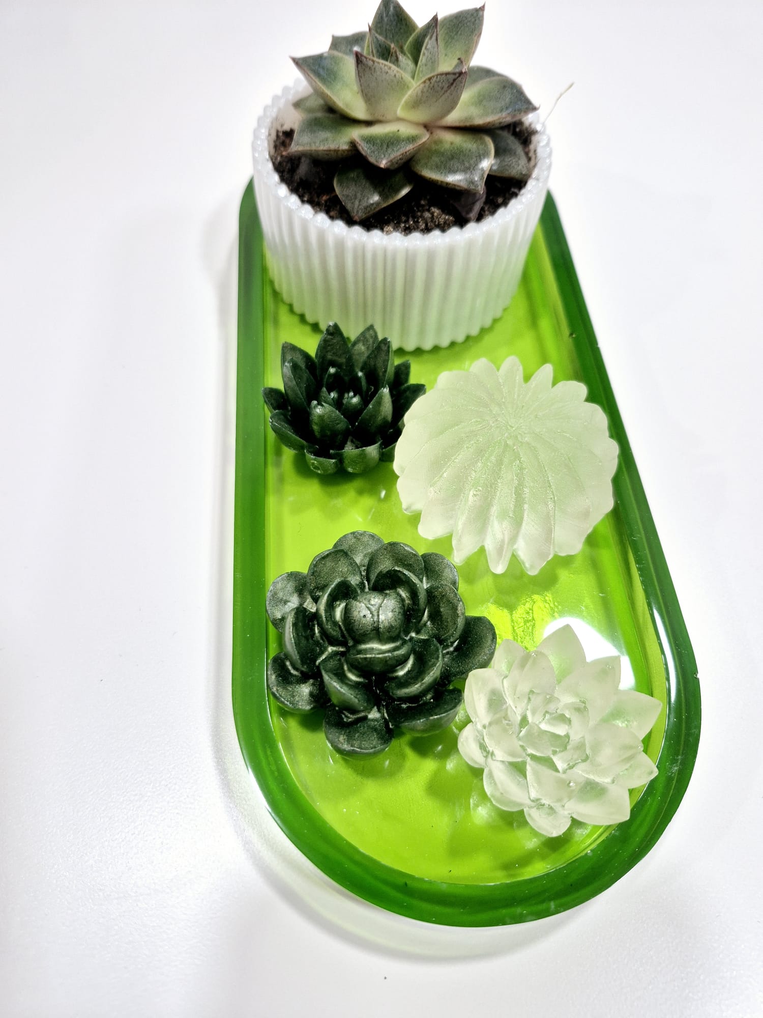 Jardim Zen – Conjunto Decorativo em Resina Epóxi com Planta Natural