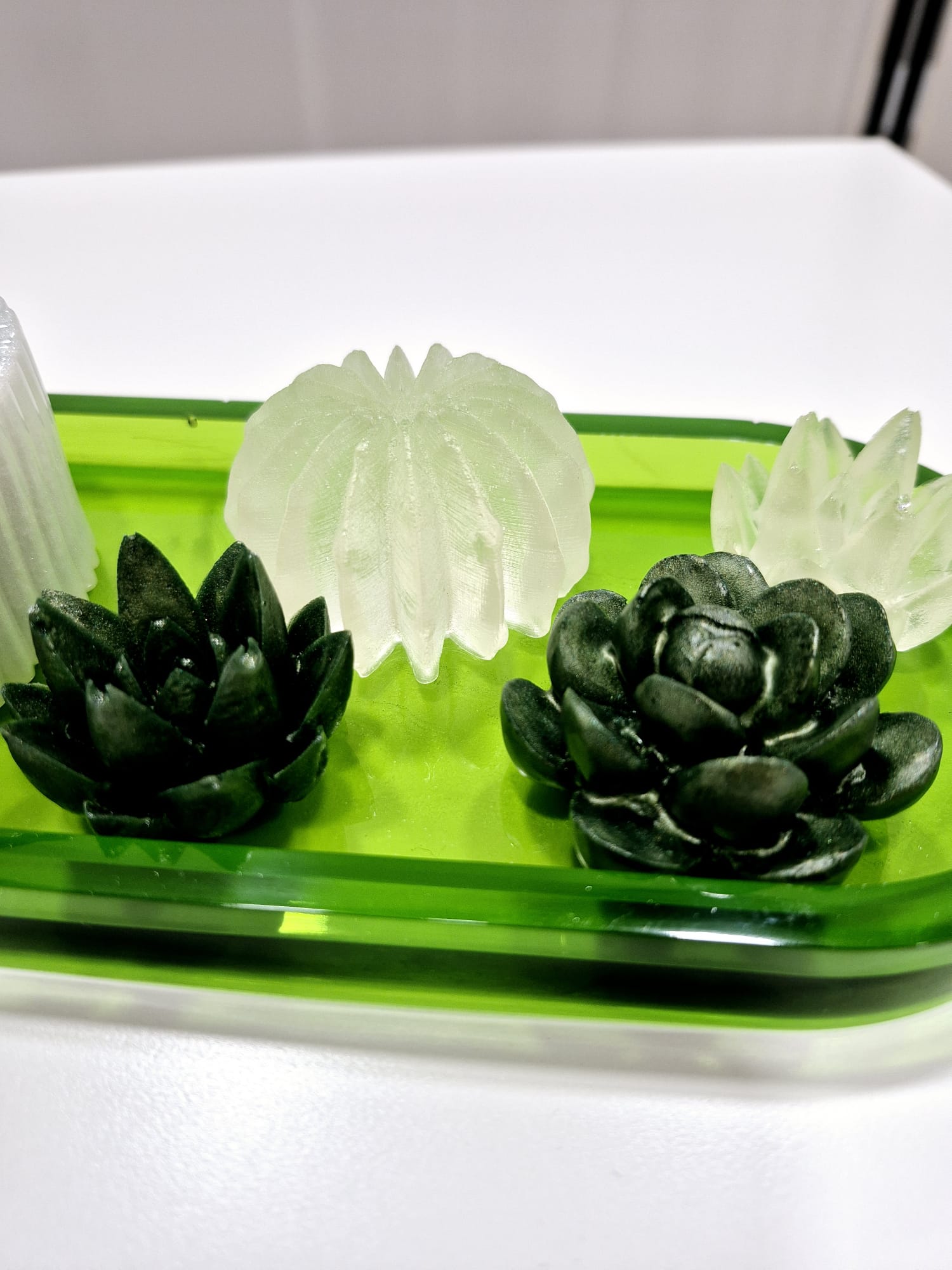 Jardim Zen – Conjunto Decorativo em Resina Epóxi com Planta Natural