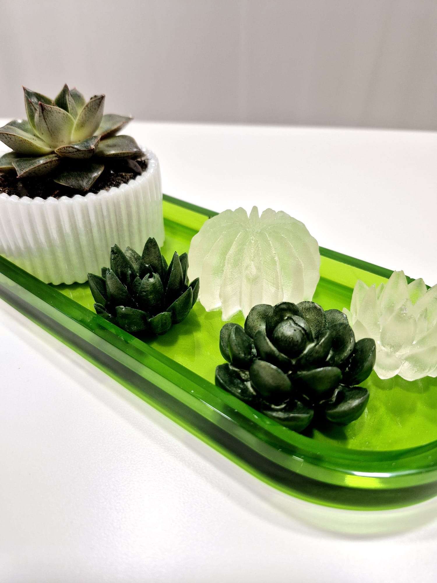 Jardim Zen – Conjunto Decorativo em Resina Epóxi com Planta Natural