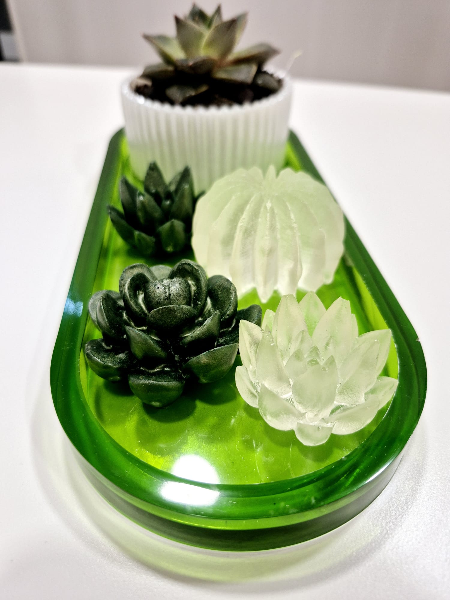 Jardim Zen – Conjunto Decorativo em Resina Epóxi com Planta Natural