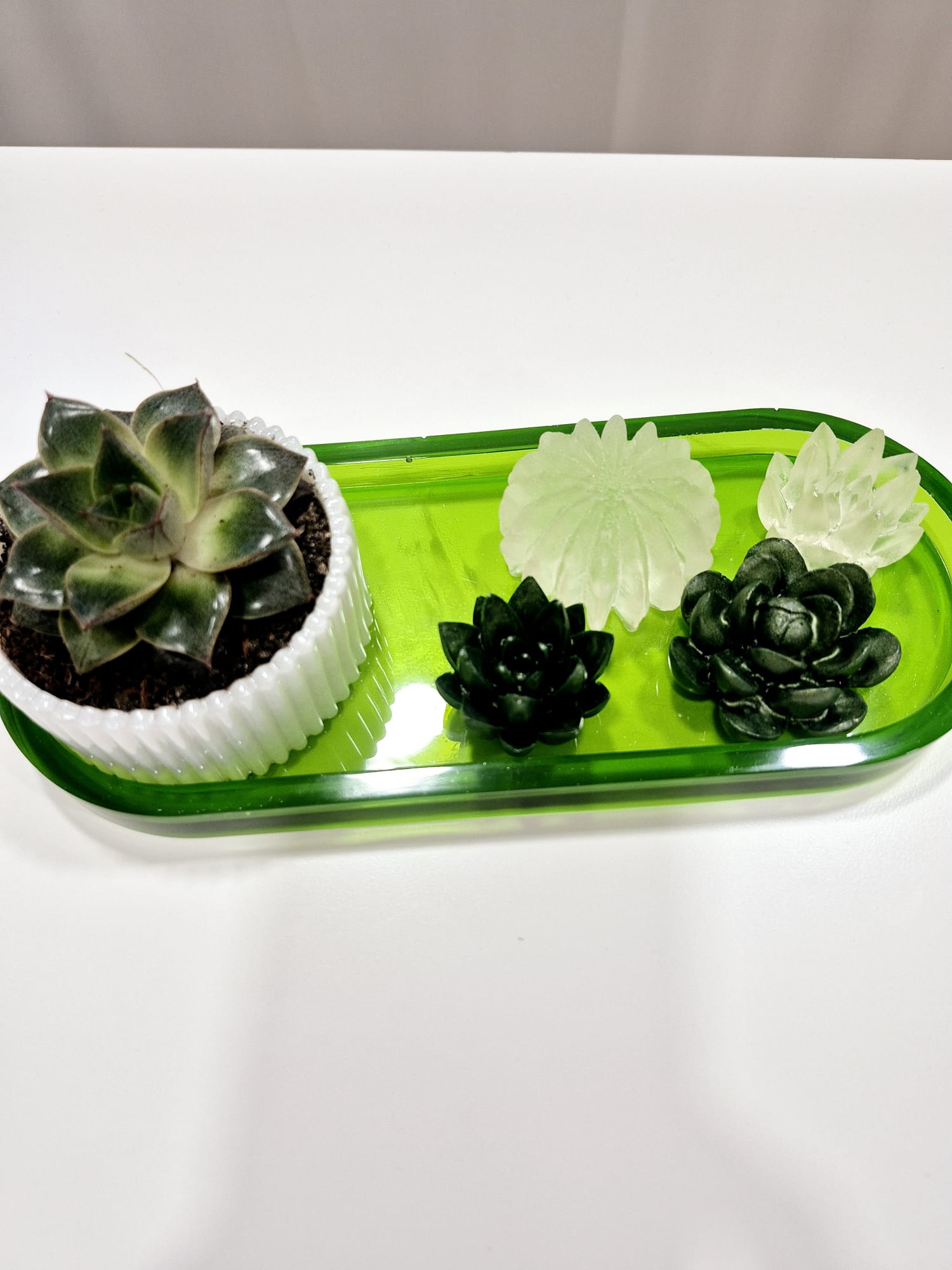 Jardim Zen – Conjunto Decorativo em Resina Epóxi com Planta Natural
