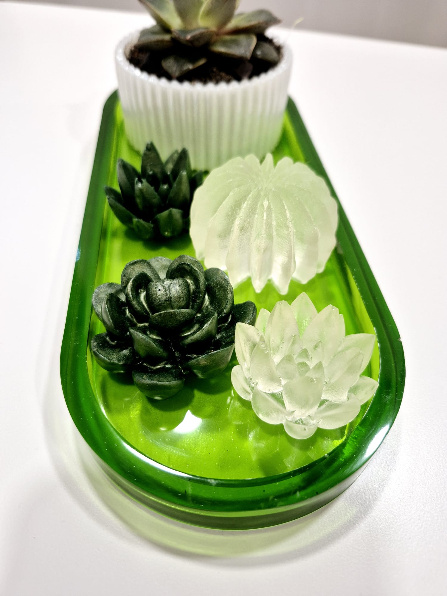 Jardim Zen – Conjunto Decorativo em Resina Epóxi com Planta Natural