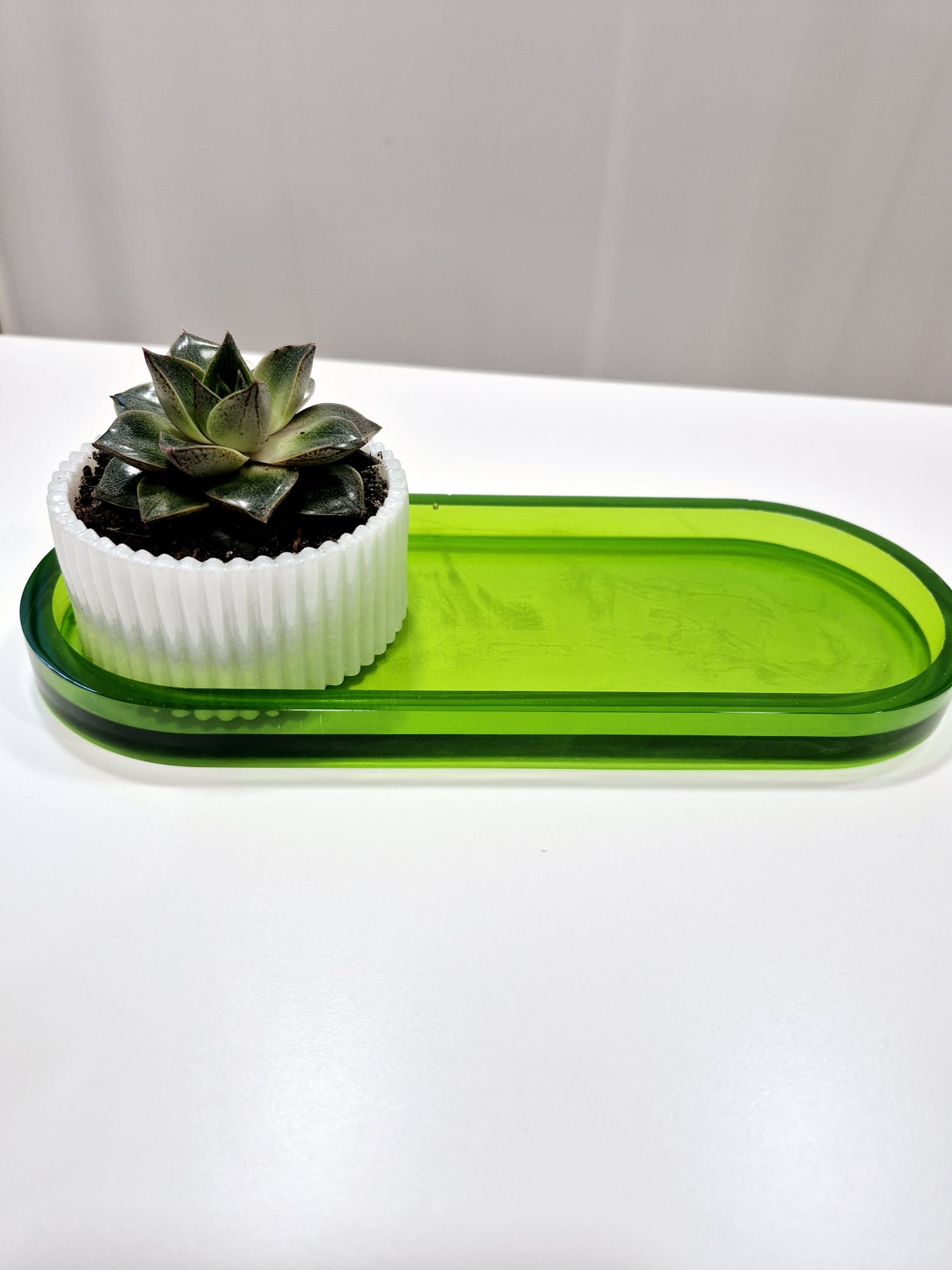 Jardim Zen – Conjunto Decorativo em Resina Epóxi com Planta Natural