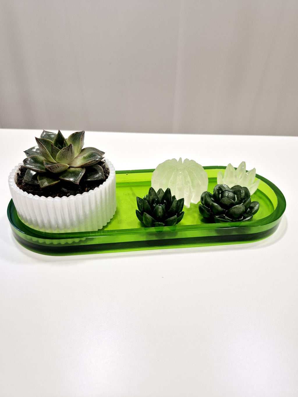 Jardim Zen – Conjunto Decorativo em Resina Epóxi com Planta Natural