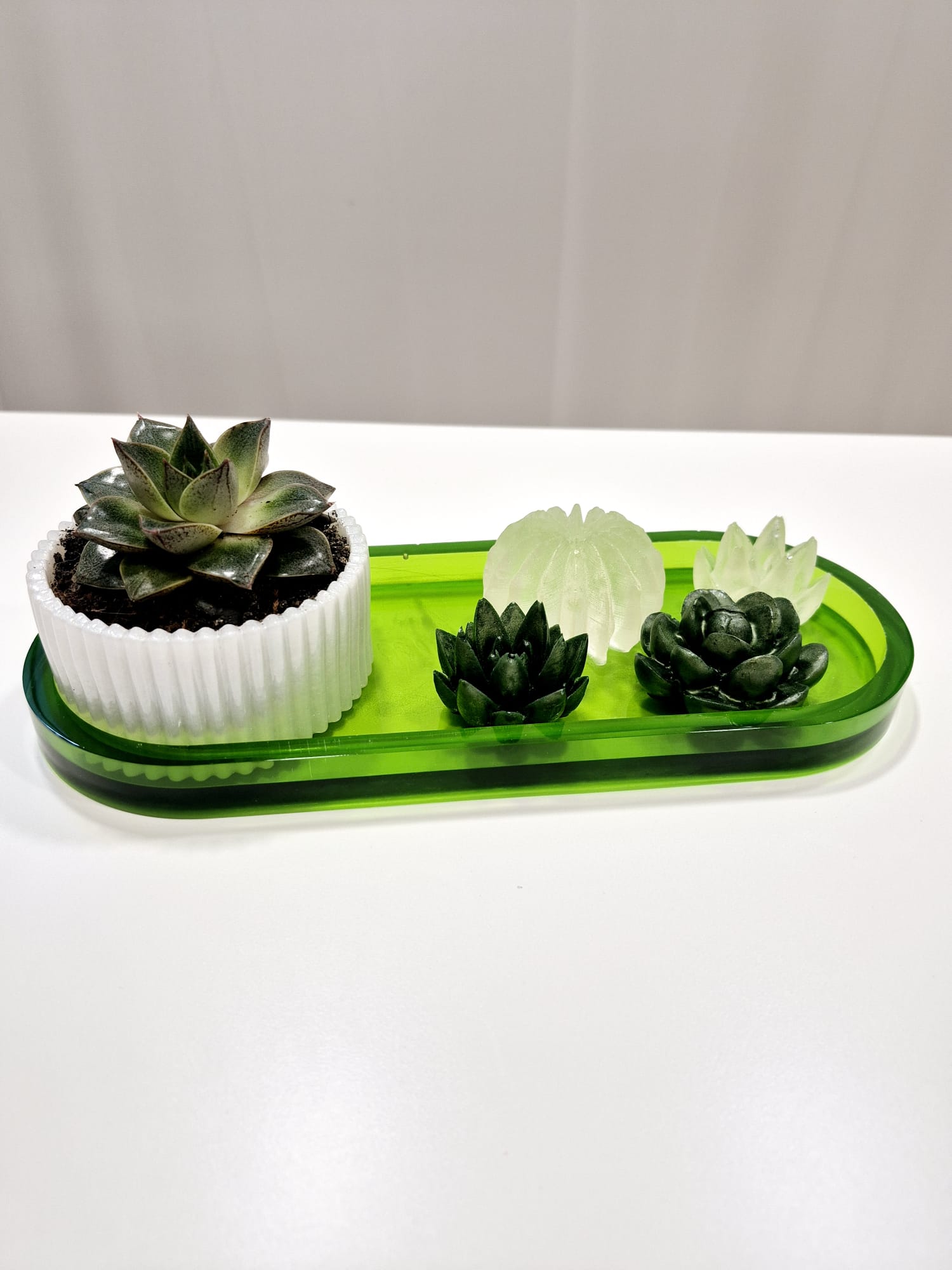 Jardim Zen – Conjunto Decorativo em Resina Epóxi com Planta Natural